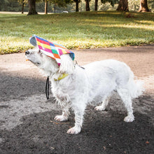 Load image into Gallery viewer, Pet Life &#39;Colorfur&#39; Floral Uv Protectant Adjustable Fashion Dog Hat Cap
