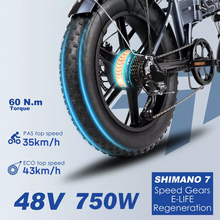 Load image into Gallery viewer, ENGWE EP-2PRO 48V13Ah 45km/h electric bicycle 20inch Fat tire 750W Mountain electric Bike
